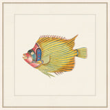 Renard Poisson VI
