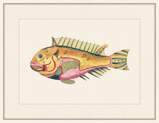Renard Poisson IX