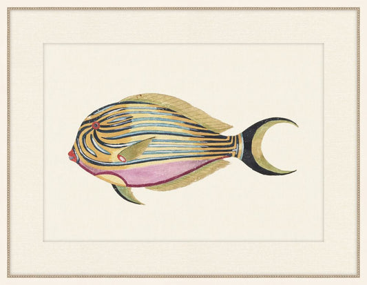 Renard Poisson X