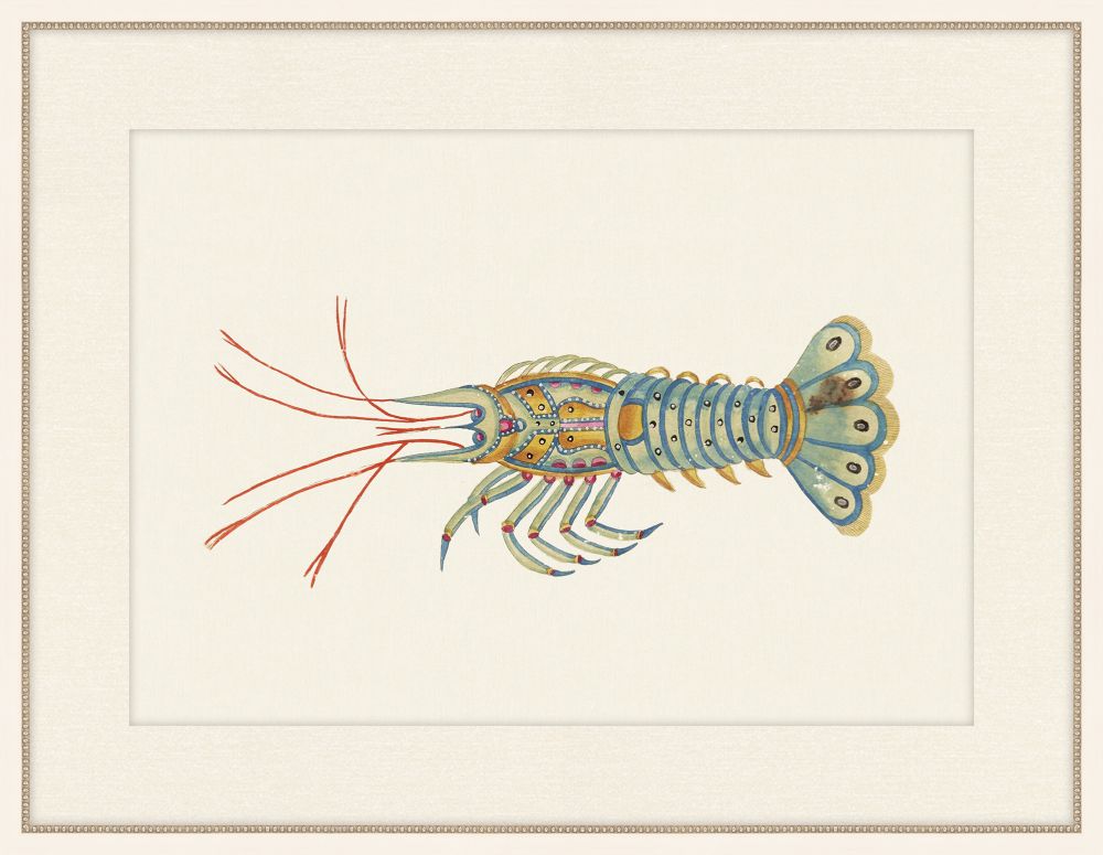 Renard Poisson XIX