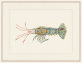 Renard Poisson XIX