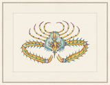 Renard Poisson XXI