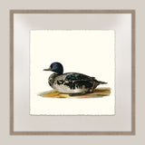 Duck I