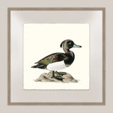 Shore Birds II