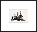 Ebony Forest I