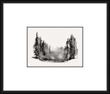 Ebony Forest IV