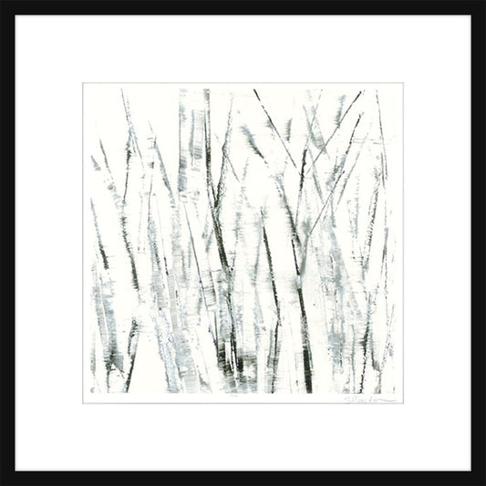 Birches I