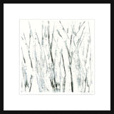 Birches I