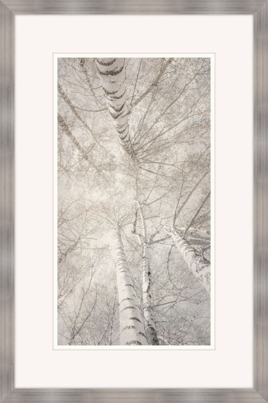 Taupe Canopy I