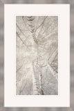 Taupe Canopy I
