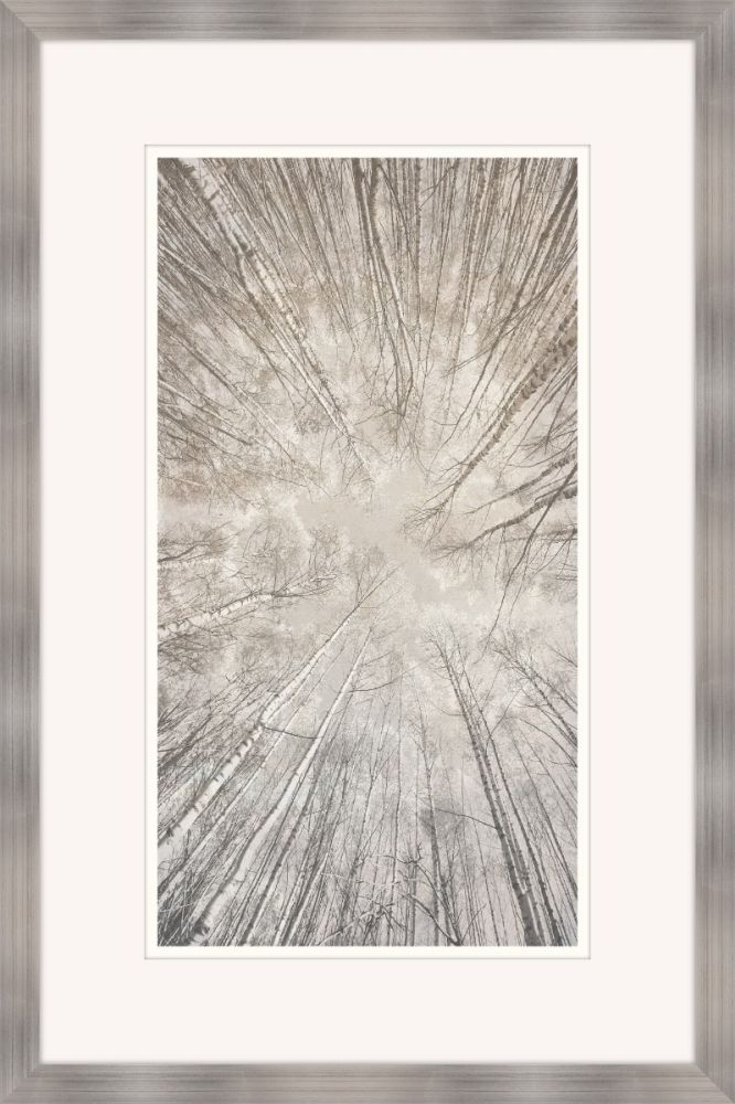 Taupe Canopy II