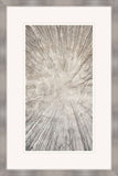 Taupe Canopy II