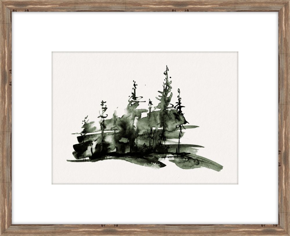 Evergreen Forest I
