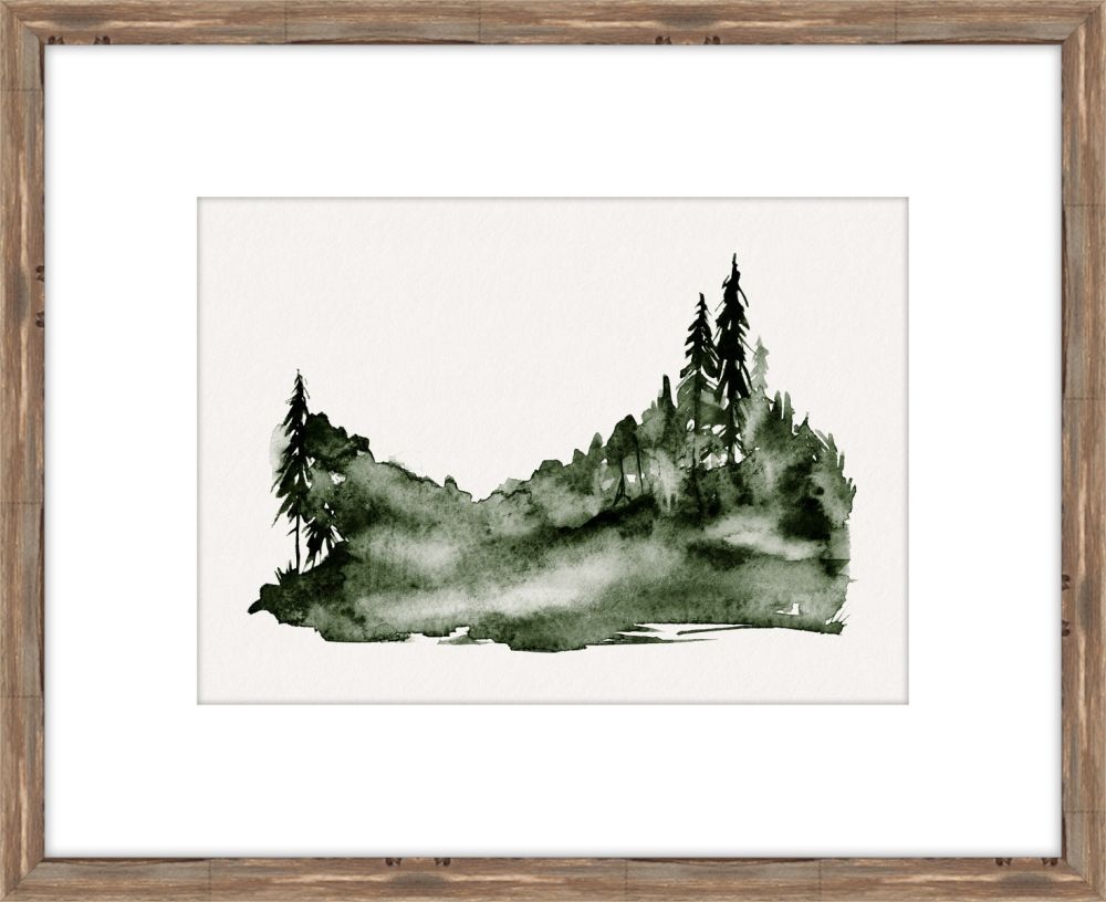 Evergreen Forest II