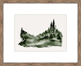 Evergreen Forest II