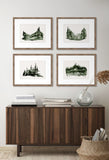 Evergreen Forest IV