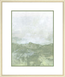 Fields I I