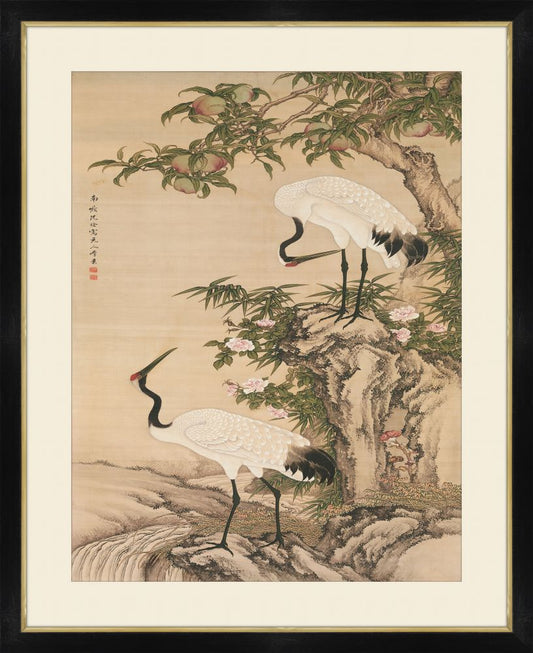 Cranes in tree