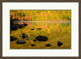 Autumn Reflection