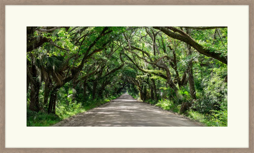 Carolina Road