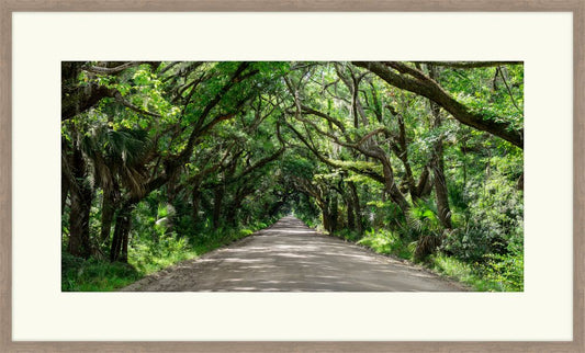 Carolina Road