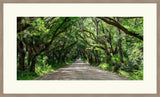 Carolina Road