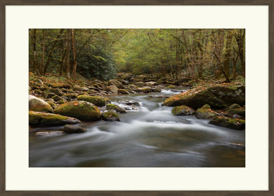 Autumn Stream I