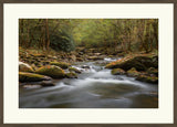 Autumn Stream I