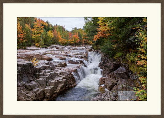 Autumn Stream II