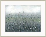 Misty Meadow