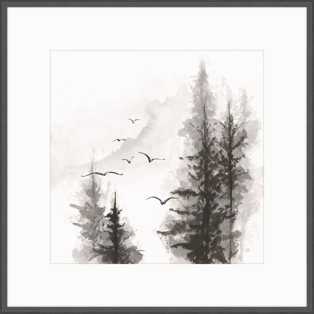 Free Flight I