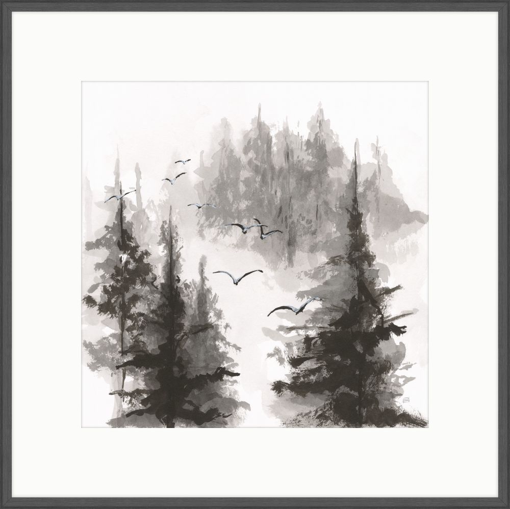 Free Flight II