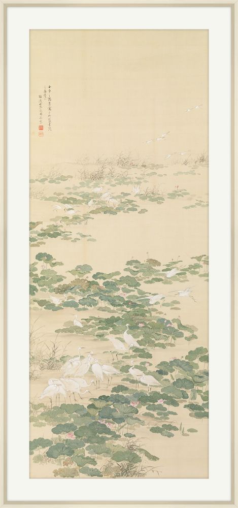 Egrets in a Lotus Pond