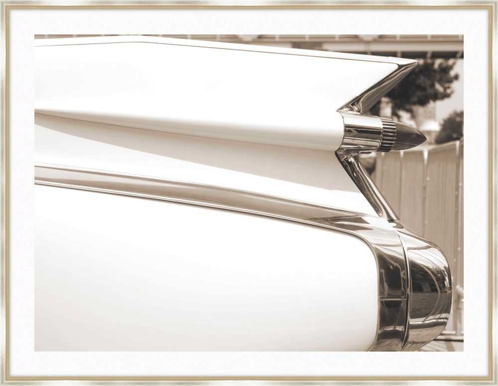 Tail Fin