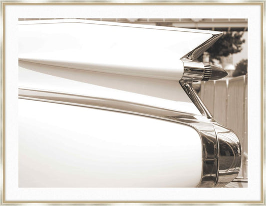 Tail Fin