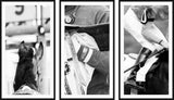 Racing Triptych Set of 3