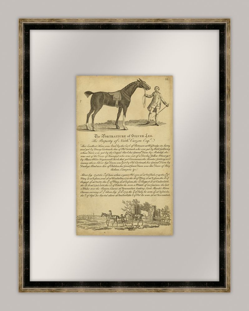 Horse Portraiture I