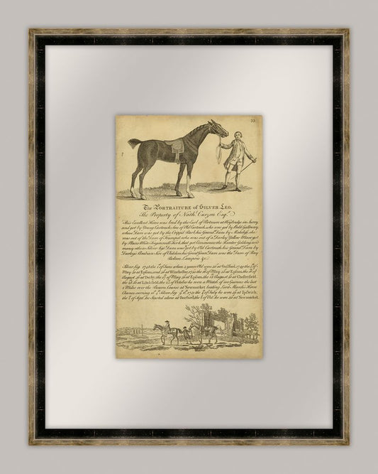 Horse Portraiture I