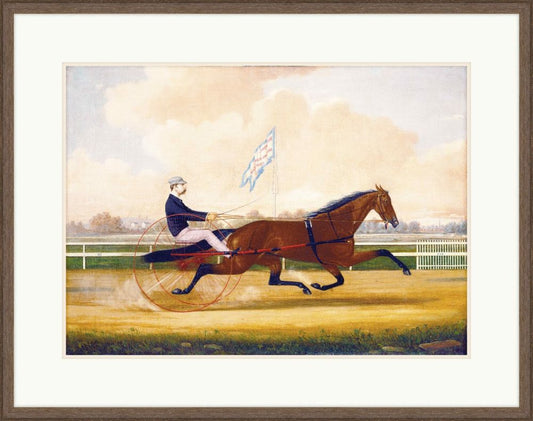 The Trotter, 1860