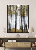 Canopy of Trees I