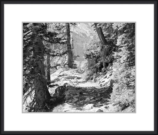 Mountain Escape V