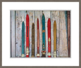 Ski Variety