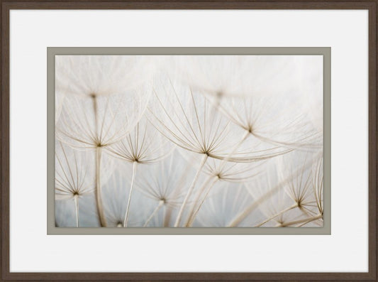 Gossamer Seeds IV