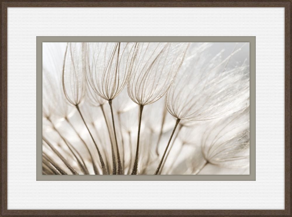Gossamer Seeds V