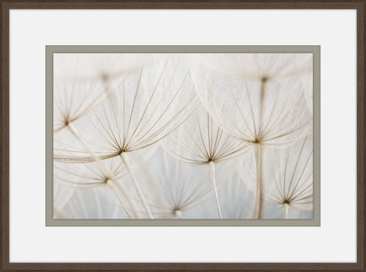 Gossamer Seeds VI