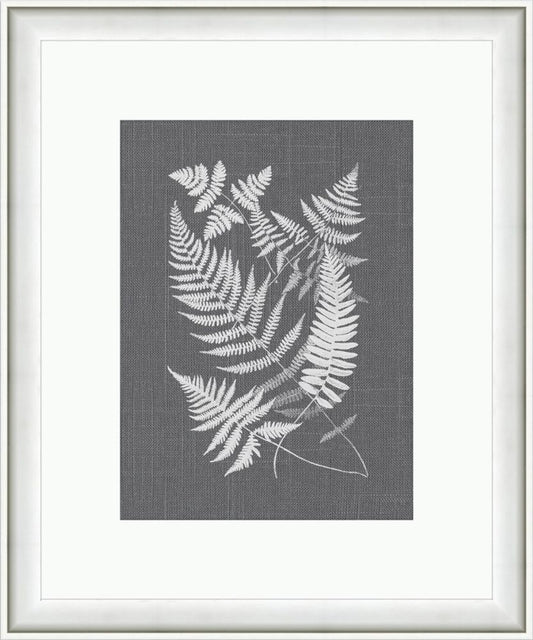 Buckle Ferns on Gray