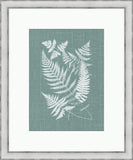 Buckler Fern On Spa Blue Linen II