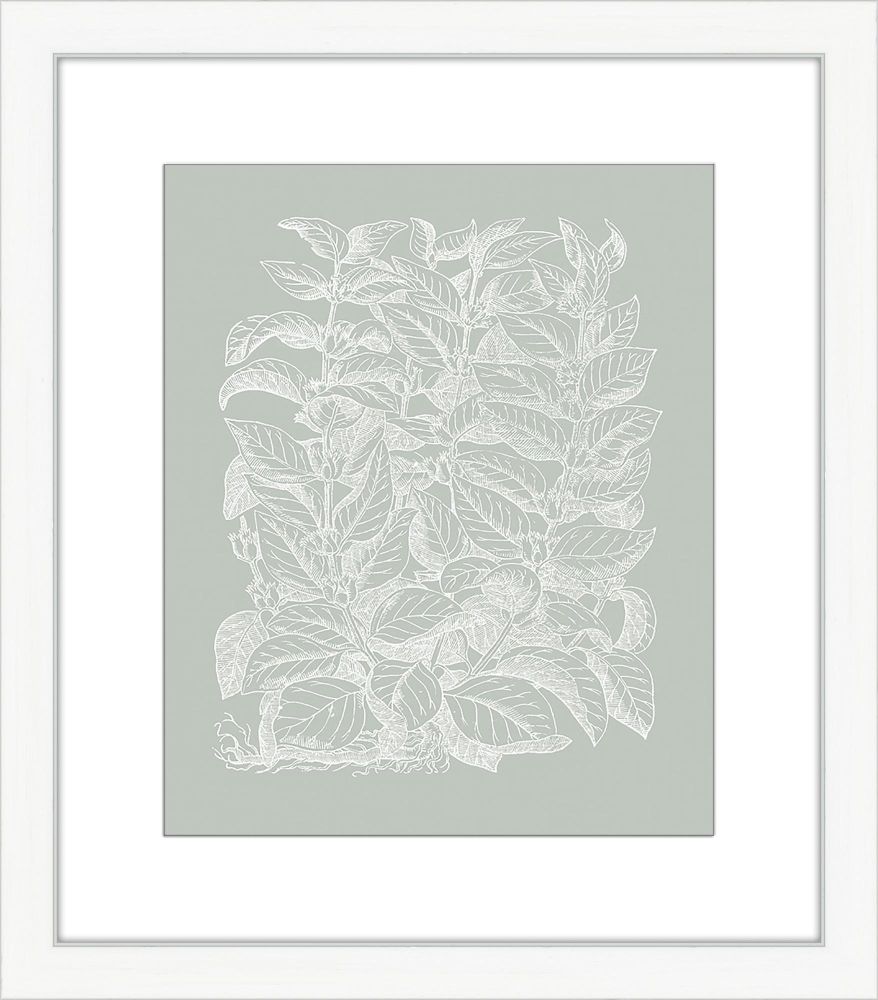 Floral Impression in Sage II