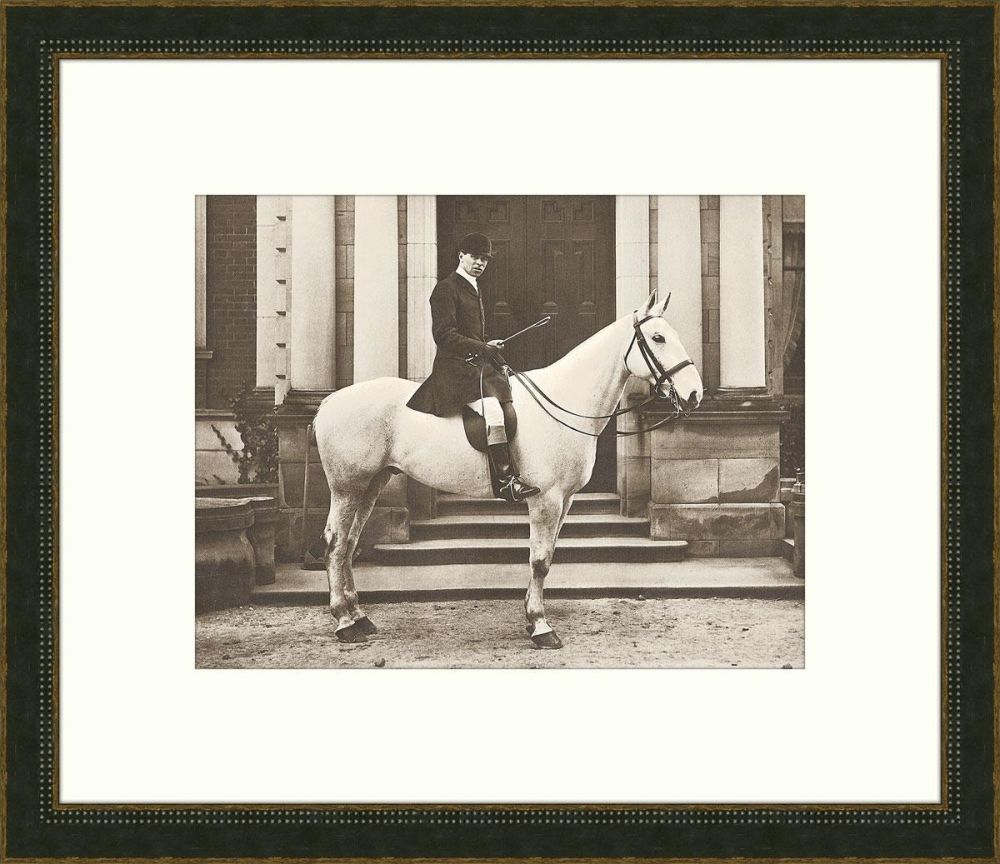 Equestrian I