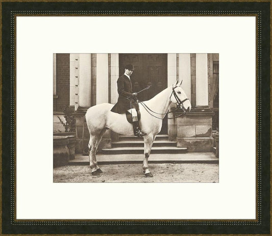 Equestrian I